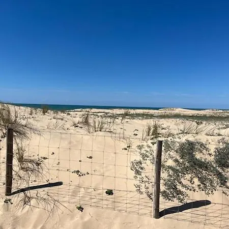 Mobilhome Dans Siblu Les Viviers Campingplatz Lège-Cap-Ferret